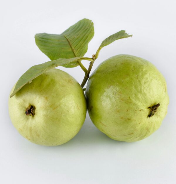 Guava