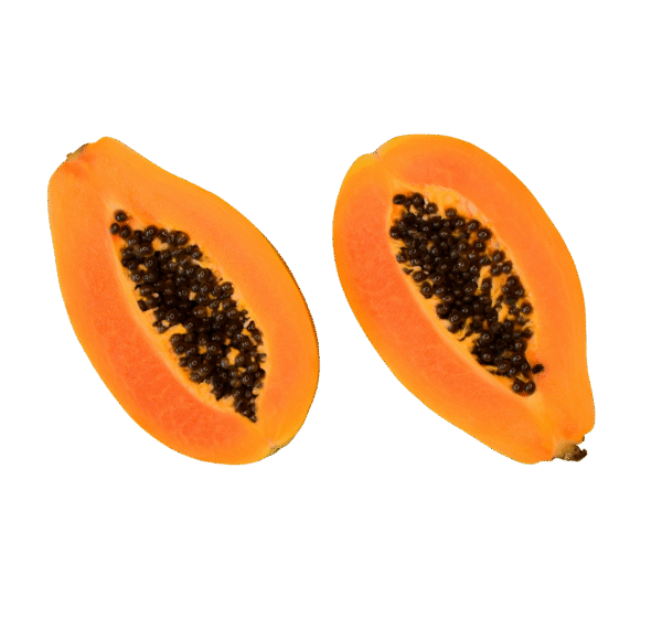 Papaya